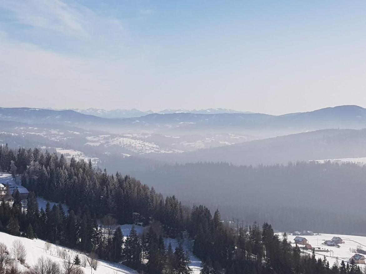 Agroturystyka Koronkowe Zacisze Koniaków 外观 照片