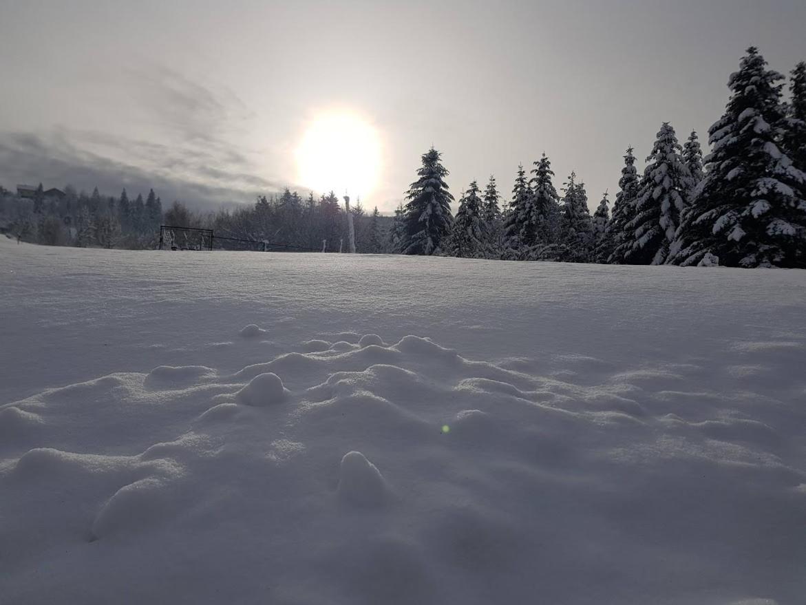 Agroturystyka Koronkowe Zacisze Koniaków 外观 照片