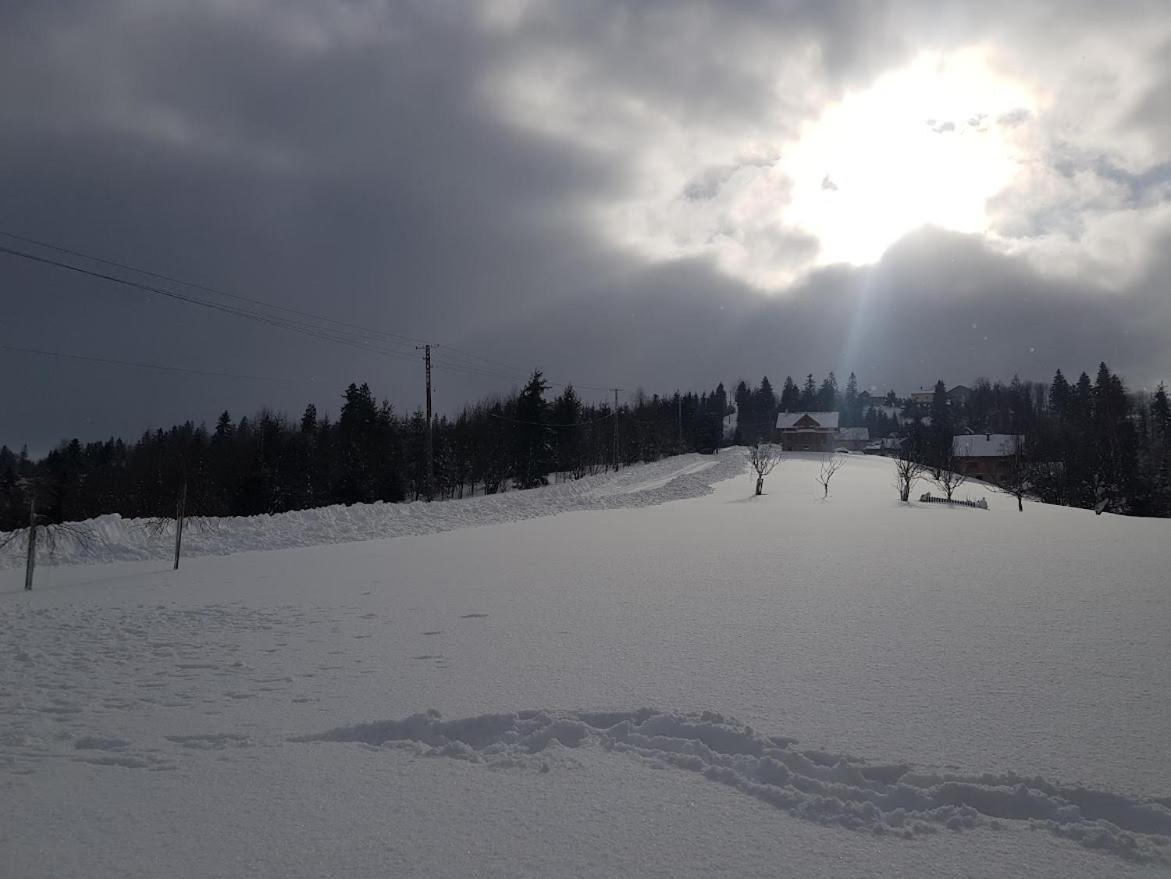Agroturystyka Koronkowe Zacisze Koniaków 外观 照片